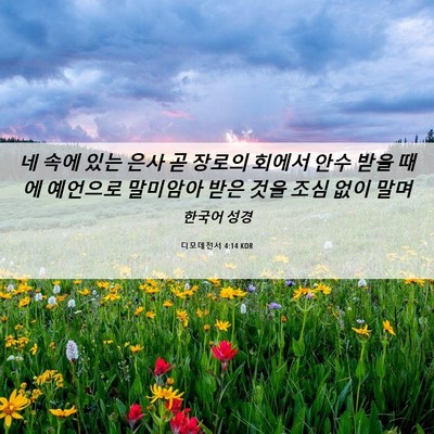 Picture 06 - 디모데전서 4:14 KOR - 네 속에 있는 은사 곧 장로의 회에서 - Bible Verse Picture