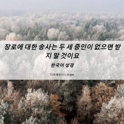 Picture 06 - 디모데전서 5:19 KOR - 장로에 대한 송사는 두 세 증인이 - Bible Verse Picture