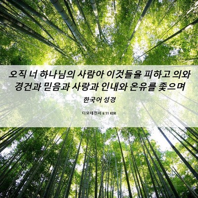Picture 06 - 디모데전서 6:11 KOR - 오직 너 하나님의 사람아 이것들을 - Bible Verse Picture