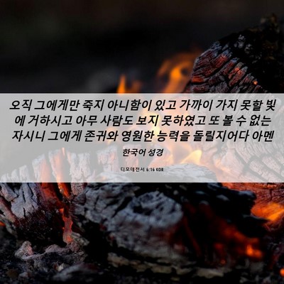 Picture 06 - 디모데전서 6:16 KOR - 오직 그에게만 죽지 아니함이 있고 - Bible Verse Picture