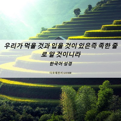 Picture 06 - 디모데전서 6:8 KOR - 우리가 먹을 것과 입을 것이 있은즉 - Bible Verse Picture