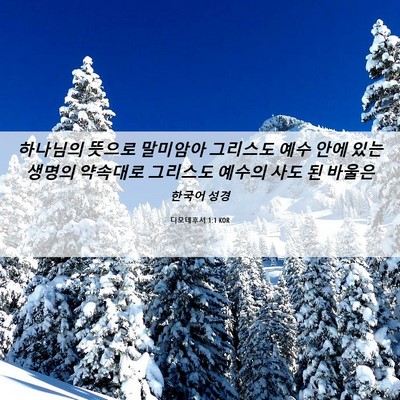 Picture 06 - 디모데후서 1:1 KOR - 하나님의 뜻으로 말미암아 그리스도 - Bible Verse Picture