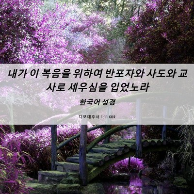 Picture 06 - 디모데후서 1:11 KOR - 내가 이 복음을 위하여 반포자와 - Bible Verse Picture