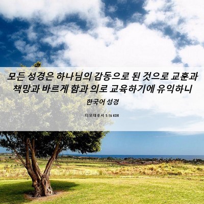 Picture 06 - 디모데후서 3:16 KOR - 모든 성경은 하나님의 감동으로 된 - Bible Verse Picture