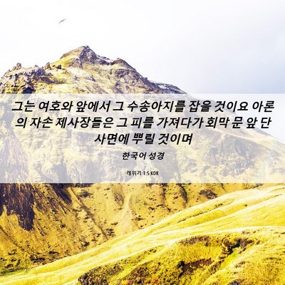 Picture 06 - 레위기 1:5 KOR - 그는 여호와 앞에서 그 수송아지를 - Bible Verse Picture