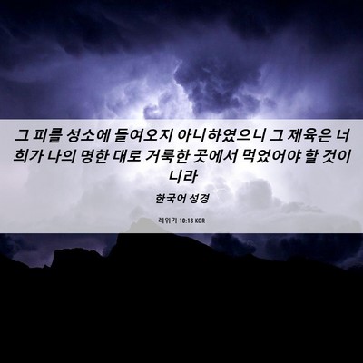 Picture 06 - 레위기 10:18 KOR - 그 피를 성소에 들여오지 - Bible Verse Picture