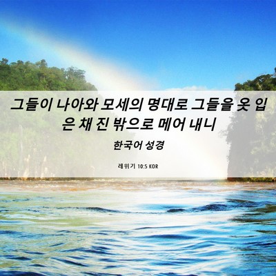 Picture 06 - 레위기 10:5 KOR - 그들이 나아와 모세의 명대로 그들을 - Bible Verse Picture