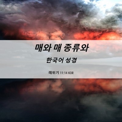 Picture 06 - 레위기 11:14 KOR - 매와 매 - Bible Verse Picture