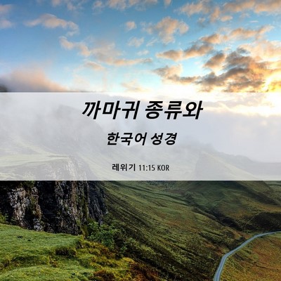 Picture 06 - 레위기 11:15 KOR - 까마귀 - Bible Verse Picture