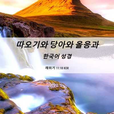 Picture 06 - 레위기 11:18 KOR - 따오기와 당아와 - Bible Verse Picture