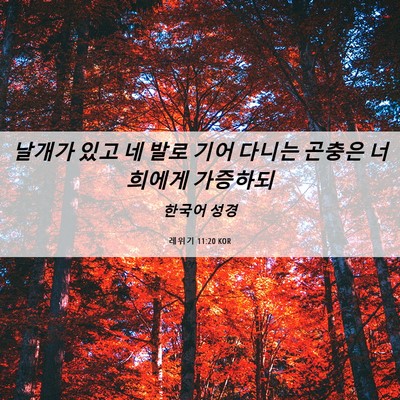 Picture 06 - 레위기 11:20 KOR - 날개가 있고 네 발로 기어 다니는 - Bible Verse Picture