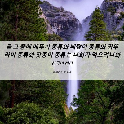 Picture 06 - 레위기 11:22 KOR - 곧 그 중에 메뚜기 종류와 베짱이 - Bible Verse Picture