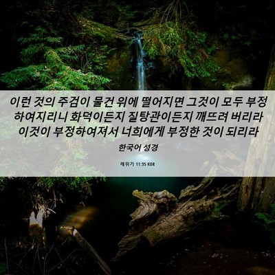 Picture 06 - 레위기 11:35 KOR - 이런 것의 주검이 물건 위에 - Bible Verse Picture