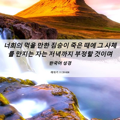 Picture 06 - 레위기 11:39 KOR - 너희의 먹을 만한 짐승이 죽은 때에 - Bible Verse Picture