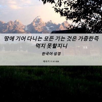 Picture 06 - 레위기 11:41 KOR - 땅에 기어 다니는 모든 기는 것은 - Bible Verse Picture