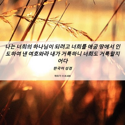 Picture 06 - 레위기 11:45 KOR - 나는 너희의 하나님이 되려고 너희를 - Bible Verse Picture