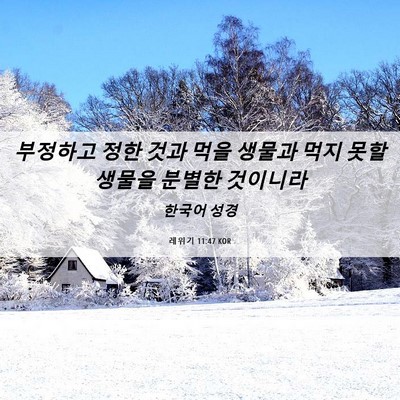 Picture 06 - 레위기 11:47 KOR - 부정하고 정한 것과 먹을 생물과 - Bible Verse Picture