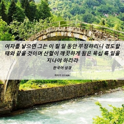 Picture 06 - 레위기 12:5 KOR - 여자를 낳으면 그는 이 칠 일 동안 - Bible Verse Picture