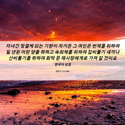 Picture 06 - 레위기 12:6 KOR - 자녀간 정결케 되는 기한이 차거든 - Bible Verse Picture