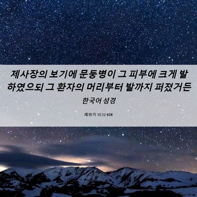 Picture 06 - 레위기 13:12 KOR - 제사장의 보기에 문둥병이 그 피부에 - Bible Verse Picture