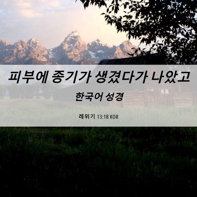 Picture 06 - 레위기 13:18 KOR - 피부에 종기가 생겼다가 - Bible Verse Picture