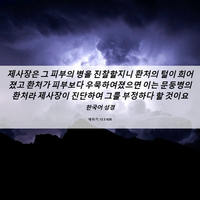 Picture 06 - 레위기 13:3 KOR - 제사장은 그 피부의 병을 진찰할지니 - Bible Verse Picture