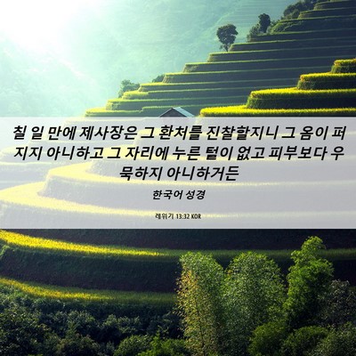 Picture 06 - 레위기 13:32 KOR - 칠 일 만에 제사장은 그 환처를 - Bible Verse Picture