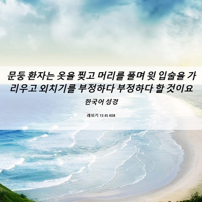 Picture 06 - 레위기 13:45 KOR - 문둥 환자는 옷을 찢고 머리를 풀며 - Bible Verse Picture