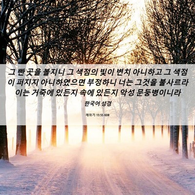 Picture 06 - 레위기 13:55 KOR - 그 빤 곳을 볼지니 그 색점의 빛이 - Bible Verse Picture