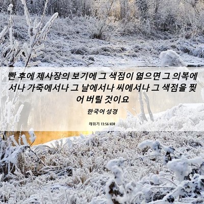 Picture 06 - 레위기 13:56 KOR - 빤 후에 제사장의 보기에 그 색점이 - Bible Verse Picture