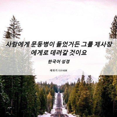 Picture 06 - 레위기 13:9 KOR - 사람에게 문둥병이 들었거든 그를 - Bible Verse Picture