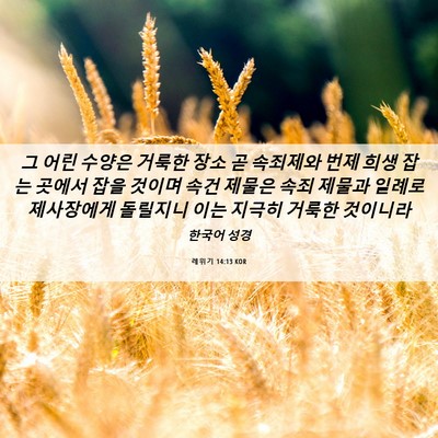 Picture 06 - 레위기 14:13 KOR - 그 어린 수양은 거룩한 장소 곧 - Bible Verse Picture
