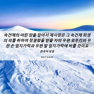 Picture 06 - 레위기 14:25 KOR - 속건제의 어린 양을 잡아서 제사장은 - Bible Verse Picture