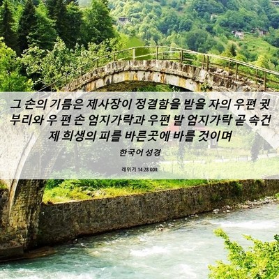 Picture 06 - 레위기 14:28 KOR - 그 손의 기름은 제사장이 정결함을 - Bible Verse Picture