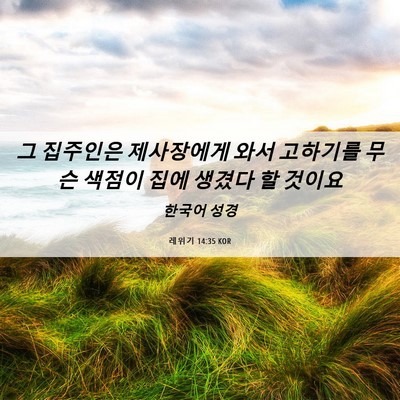 Picture 06 - 레위기 14:35 KOR - 그 집주인은 제사장에게 와서 - Bible Verse Picture