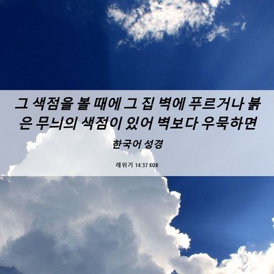 Picture 06 - 레위기 14:37 KOR - 그 색점을 볼 때에 그 집 벽에 - Bible Verse Picture
