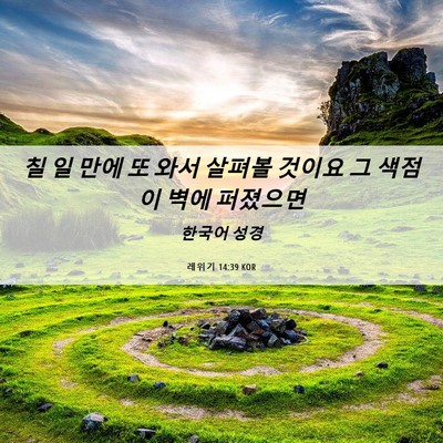 Picture 06 - 레위기 14:39 KOR - 칠 일 만에 또 와서 살펴볼 것이요 그 - Bible Verse Picture