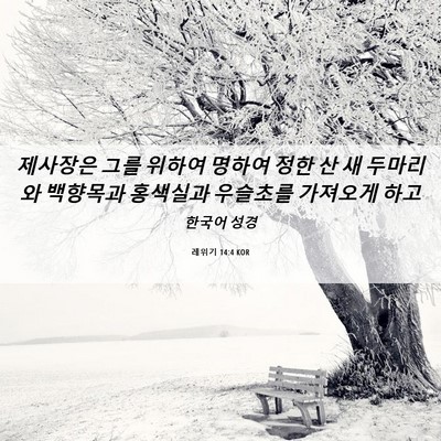 Picture 06 - 레위기 14:4 KOR - 제사장은 그를 위하여 명하여 정한 - Bible Verse Picture