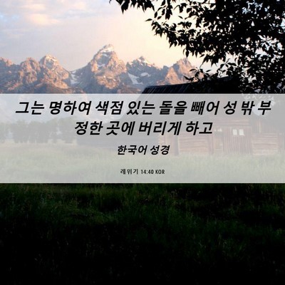 Picture 06 - 레위기 14:40 KOR - 그는 명하여 색점 있는 돌을 빼어 성 - Bible Verse Picture
