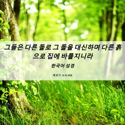 Picture 06 - 레위기 14:42 KOR - 그들은 다른 돌로 그 돌을 대신하며 - Bible Verse Picture