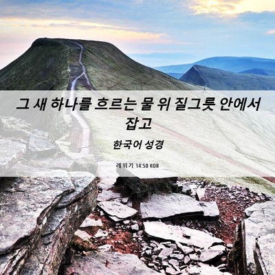 Picture 06 - 레위기 14:50 KOR - 그 새 하나를 흐르는 물 위 질그릇 - Bible Verse Picture