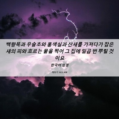 Picture 06 - 레위기 14:51 KOR - 백향목과 우슬초와 홍색실과 산새를 - Bible Verse Picture