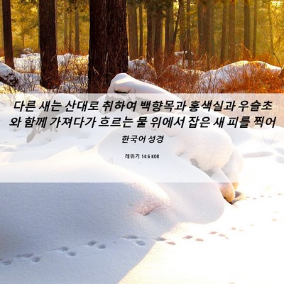 Picture 06 - 레위기 14:6 KOR - 다른 새는 산대로 취하여 백향목과 - Bible Verse Picture