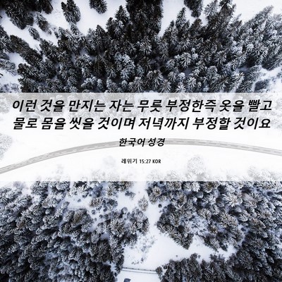 Picture 06 - 레위기 15:27 KOR - 이런 것을 만지는 자는 무릇 - Bible Verse Picture