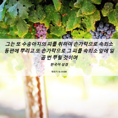Picture 06 - 레위기 16:14 KOR - 그는 또 수송아지의 피를 취하여 - Bible Verse Picture
