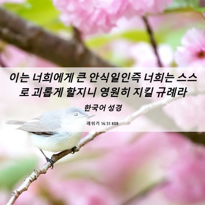 Picture 06 - 레위기 16:31 KOR - 이는 너희에게 큰 안식일인즉 너희는 - Bible Verse Picture