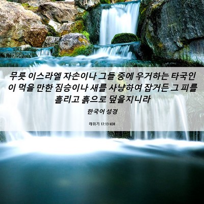 Picture 06 - 레위기 17:13 KOR - 무릇 이스라엘 자손이나 그들 중에 - Bible Verse Picture