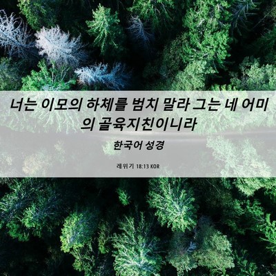 Picture 06 - 레위기 18:13 KOR - 너는 이모의 하체를 범치 말라 그는 - Bible Verse Picture