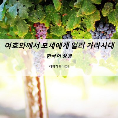 Picture 06 - 레위기 19:1 KOR - 여호와께서 모세에게 일러 - Bible Verse Picture