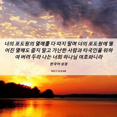 Picture 06 - 레위기 19:10 KOR - 너의 포도원의 열매를 다 따지 말며 - Bible Verse Picture